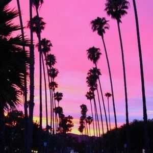 Meet your Posher, Angelica